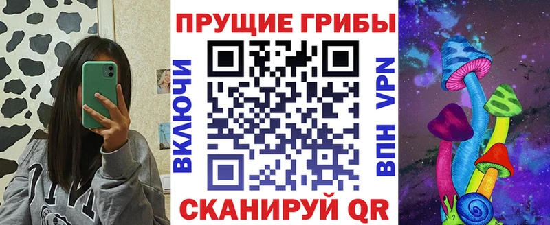 Псилоцибиновые грибы GOLDEN TEACHER  Короча 